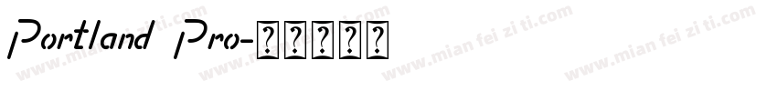 Portland Pro字体转换